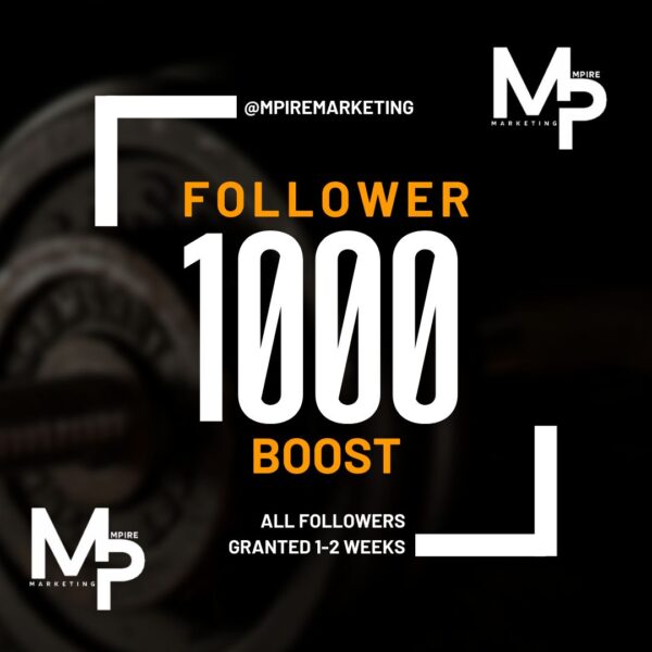 500 - 1000 follower boost